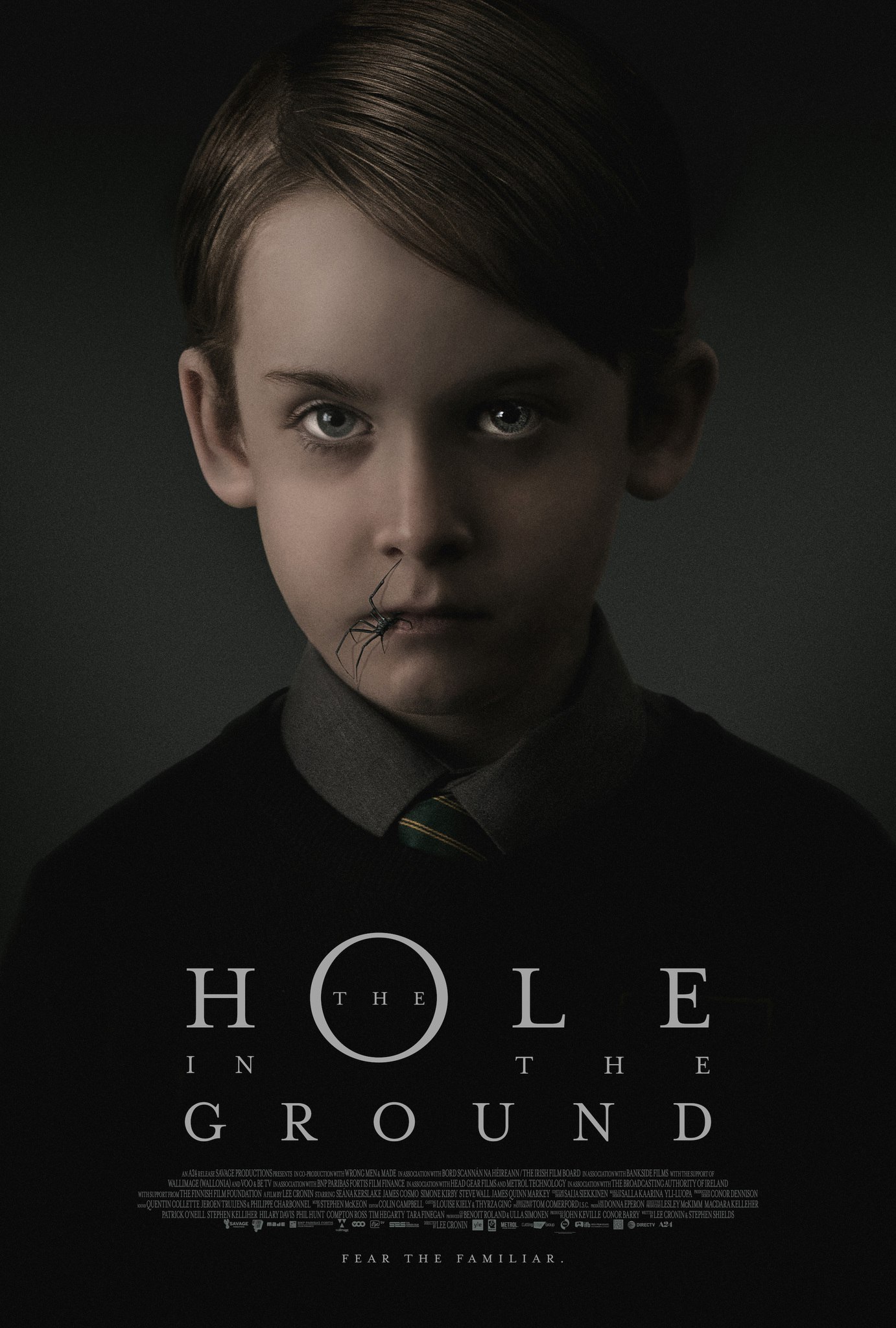 THE HOLE IN THE GROUND